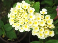 6eec1863-Picture 011.jpg